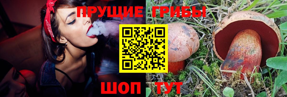 Галлюциногенные грибы Cubensis  Вход с VPN  Кинешма 